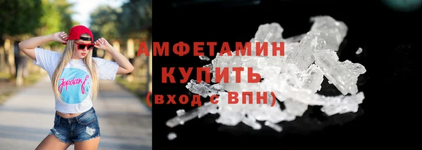 прущие грибы Вязники